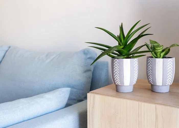 Seaside Comfort Apartment *